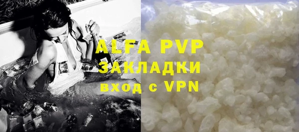 крисы Белокуриха