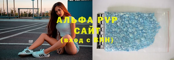 крисы Белокуриха