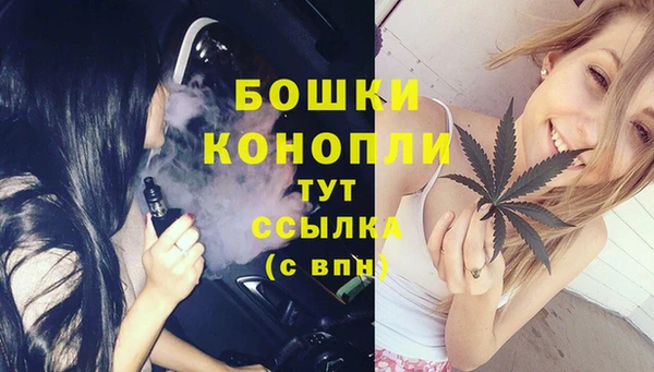 крисы Белокуриха