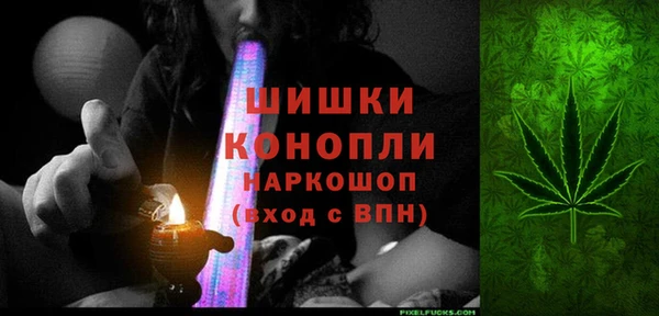 крисы Белокуриха