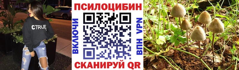 Галлюциногенные грибы Cubensis mega рабочий сайт Вяземский